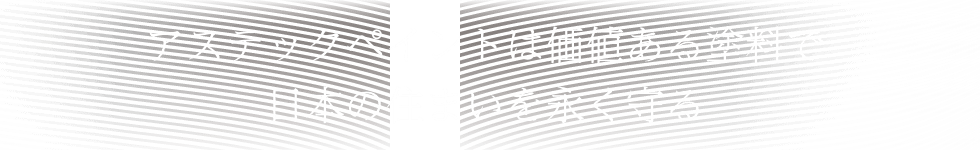 アステックペイントは価値ある塗料で日本の住まいを長く守る